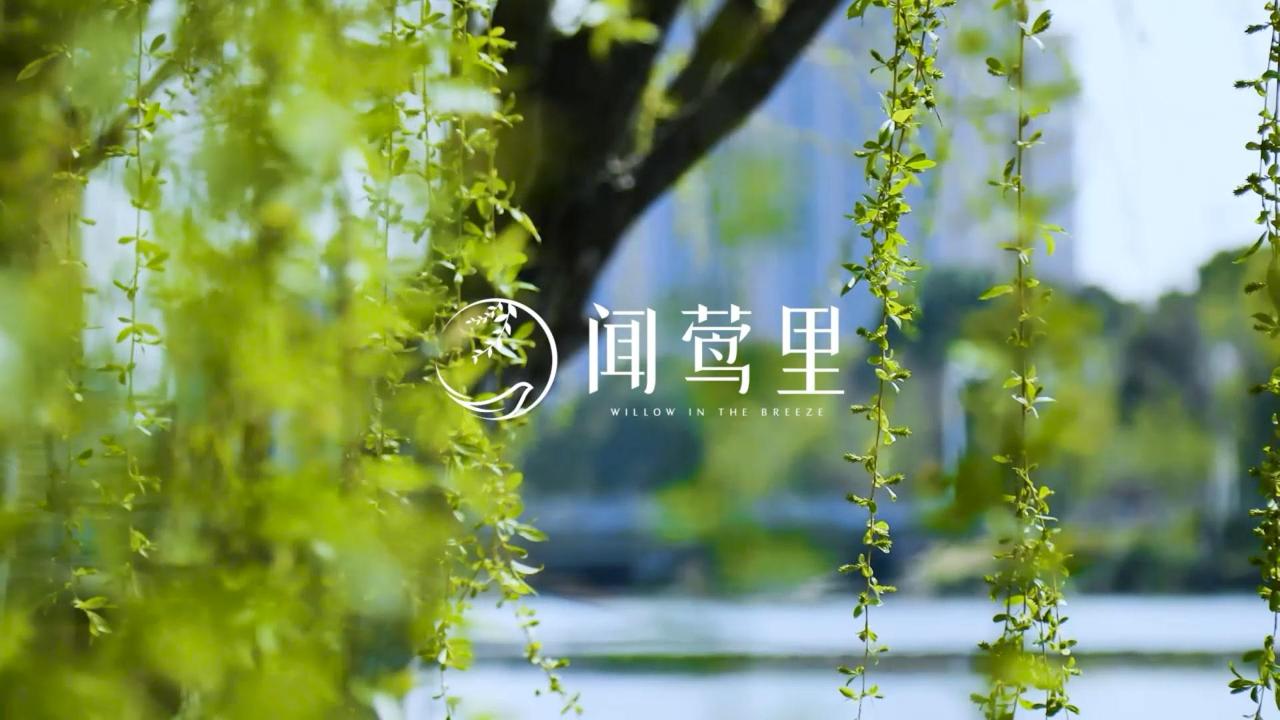 w66(й)_콢